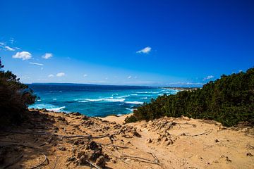 Breng de magie van Formentera in huis – Calo d'Es Mort van Guido Berkers
