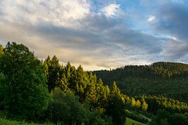 Forêt Noire en Allemagne dans la lumière chaude du coucher de soleil avec une vue panoramique sur adventure-photos