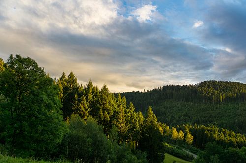 Zwarte Woud Duitsland in warm zonsondergang licht met een schilderachtig uitzicht