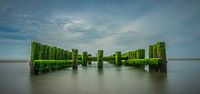 The poles of Westkapelle by Jolanda Bosselaar thumbnail