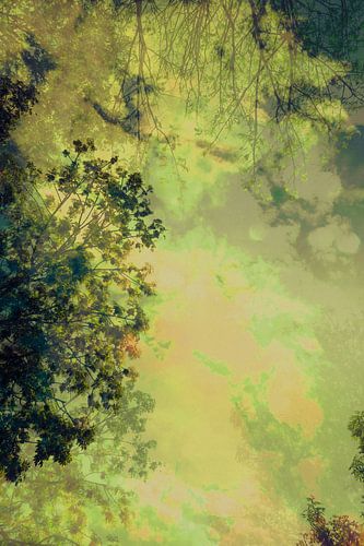 Den Himmel am Ende des Sommers auf meinem Rücken im Wald zu beobachten. von Studio Kunsthart