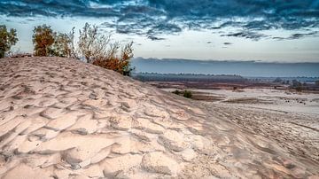 Loonse en Drunense duinen van Peter Smeekens