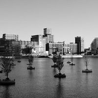 Kop van Zuid