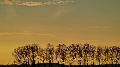 Ondergaande zon boven een Zeeuwse dijk met bomenrij