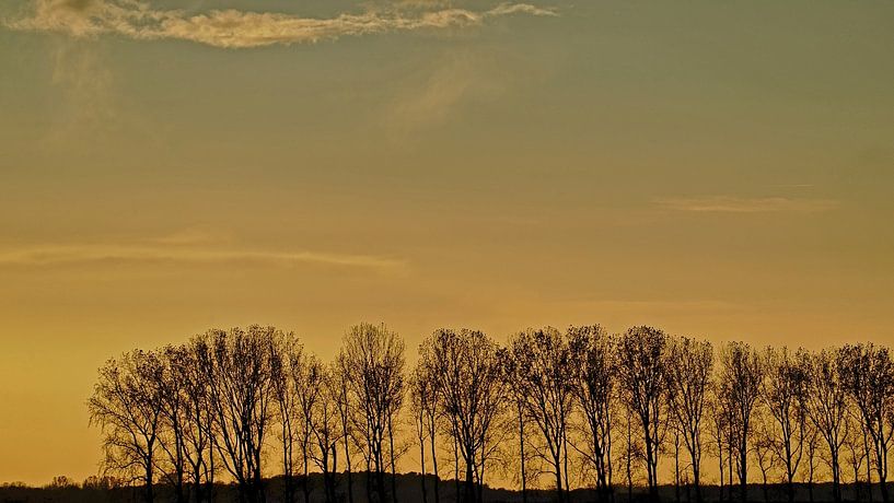 Ondergaande zon boven een Zeeuwse dijk met bomenrij van Gert van Santen