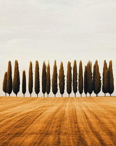 Paysage automnal allemand