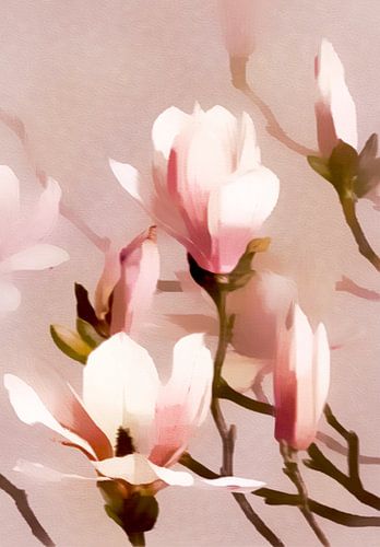 Romantische Magnolia Bloemen