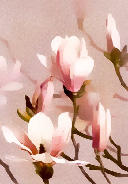 Romantische Magnolia Bloemen van Mad Dog Art