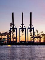 Hamburg Hafen - Hafenkräne Elbstrand Sonnenuntergang