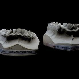 monstrous teeth van colinear ammit