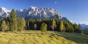 Buckelwiesen und Karwendel von Walter G. Allgöwer