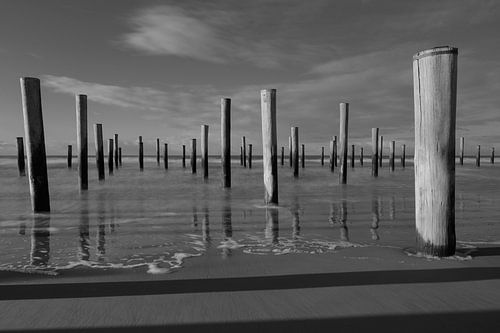 Palendorp Petten, The Netherlands van Martin Tromp