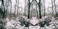 Magische Landschaft Feuchtgebiets-Nationalpark mit Schnee von Ger Beekes Miniaturansicht