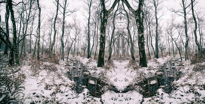 Magisch landschap wetland nationaal park met sneeuw van Ger Beekes