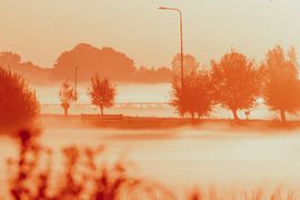 Foggy morning in Hoogmade with dew on the land by Anne Zwagers