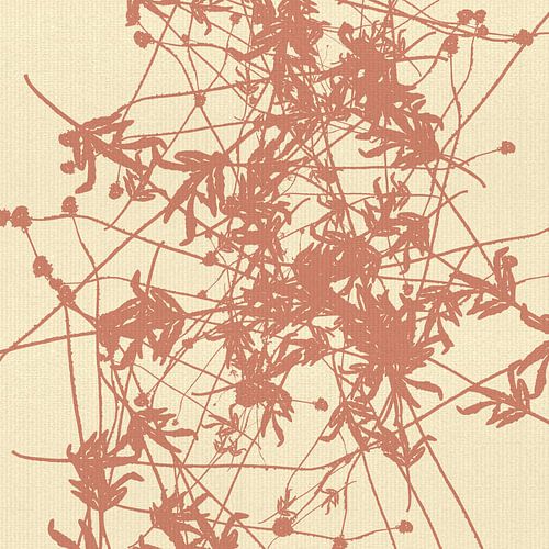 Minimalistische botanische kunst met terracotta klaprozen op gebroken wit