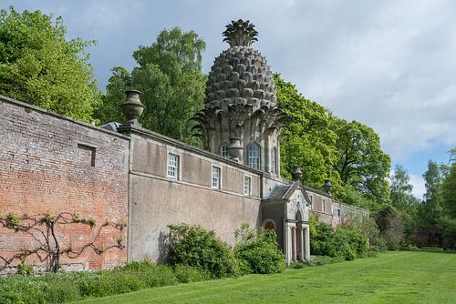 l'Ananas