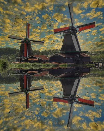 Water Reflection, Zaanse Schans, The Netherlands