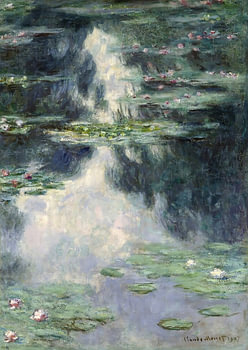 Moonlit Water Lily Pond