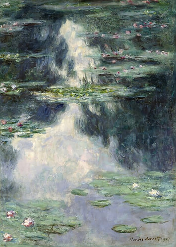 Moonlit Water Lily Pond