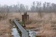 Grenspaal in natuurreservaat het Wooldse veen in Winterswijk van Tonko Oosterink thumbnail