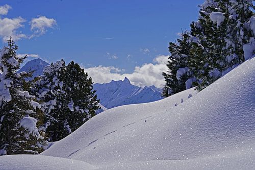 Winterwandeling in de Tuxer Alpen in Oostenrijk