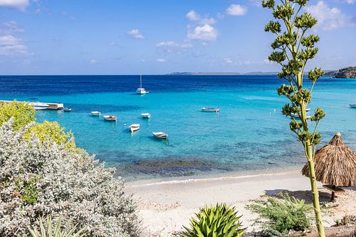 Die ruhigen Gewässer von Boca Sami: Bootsfahrten auf dem Karibischen Meer, Curaçao