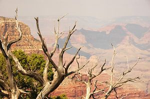 Grand Canyon von Paul van Baardwijk