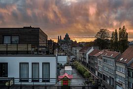 Home sweet home! by Werner Lerooy