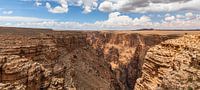 Panorama - De diepte van de Little Colorado Rivier van Remco Bosshard thumbnail