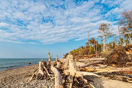 Strand an der Küste der Ostsee bei Graal Müritz von Rico Ködder