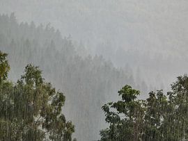 Rain in the mountains by Monique Van der Hul