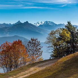 Savoyaardse herfst van samir Nashashibi