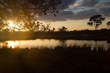 Avondzon Hatertse Vennen von Tessa Louwerens