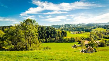 Panoramalandschap in de Allgäu van Dieter Walther