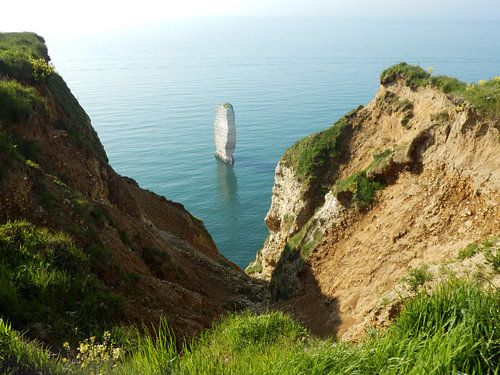 L' aiguille / de naald