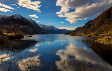 Spring along the fjord, Norway