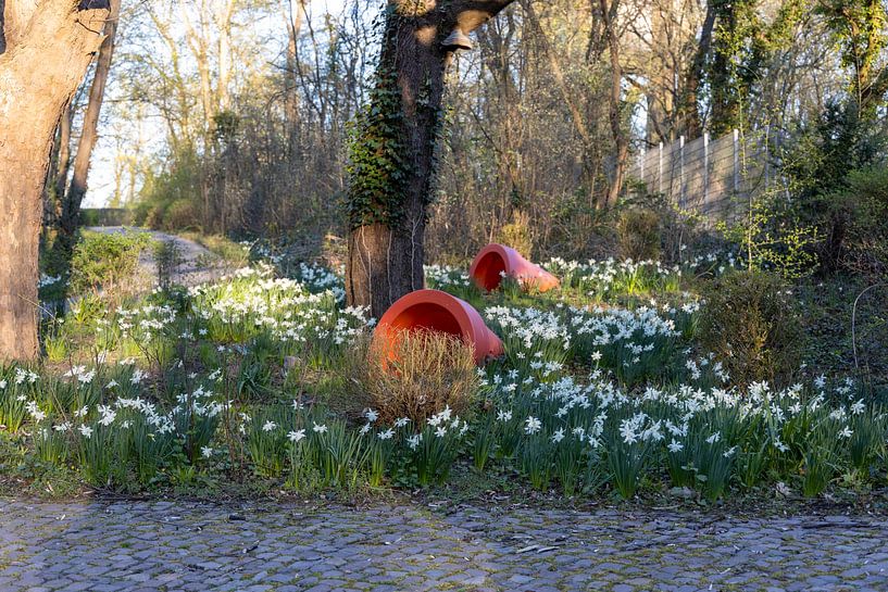 Rathenow „Stadt der Optik“ von David Krause