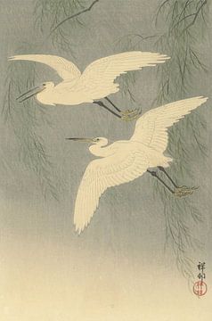 Little egrets in flight from Ohara Koson