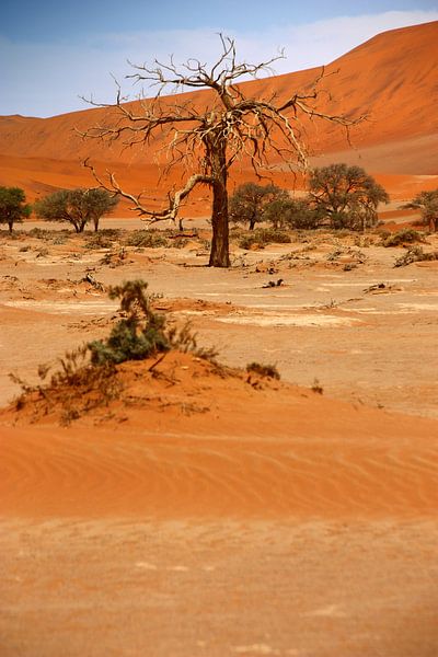 NAMIBIA ... Namib Desert Tree VI van Meleah Fotografie