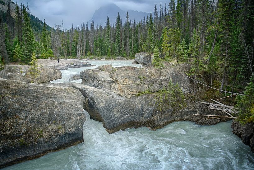 Natural Bridge, Yoho NP Canada by Christa Krus