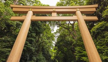 Parc Yoyogi - Tokyo (Japon) sur Marcel Kerdijk