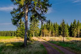 Wunderschönes Wanderparadies am Rennsteig von Oliver Hlavaty