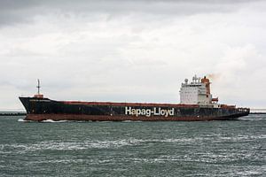 Zeeschepen onderweg in de haven Rotterdam.