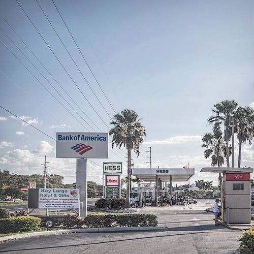 Florida VIII