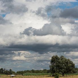 Clouds Landscape. von Harrie Eickenboom