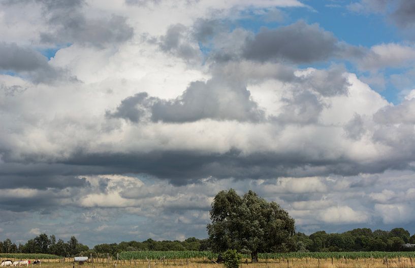 Clouds Landscape. by Harrie Eickenboom