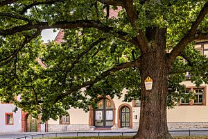 Arnstadt in Thüringen