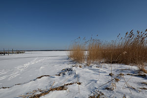 zugefrorene See im Fischerhafen Klein Zicker