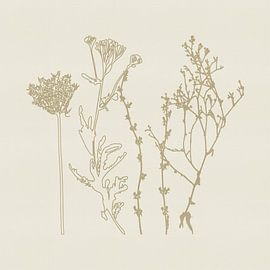 Beigefarbene Blumen auf zart cremefarbener Textur von Dina Dankers